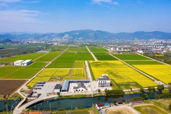 高標準農(nóng)田典型案例集錦丨“豐景”，在希望的田野
