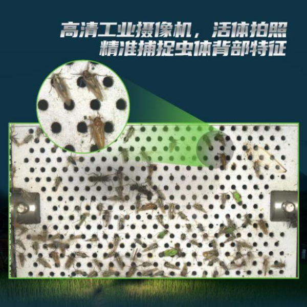 全面升級！托普云農(nóng)這樣防治“作物殺手”