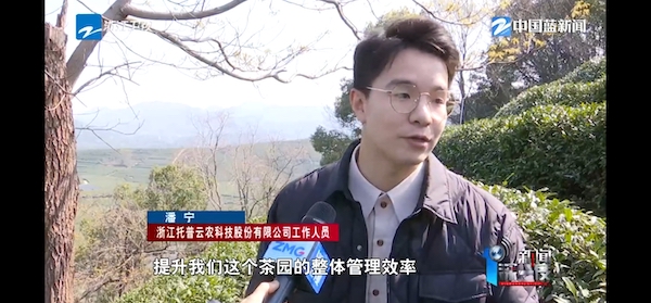 春茶開采正當(dāng)時(shí)！揭秘托普云農(nóng)如何用科技“制”出一杯數(shù)字好茶