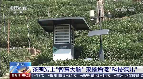 央視、人民網(wǎng)等權威媒體聚焦西湖龍井：托普云農(nóng)“黑科技”點亮千年茶香智變之路